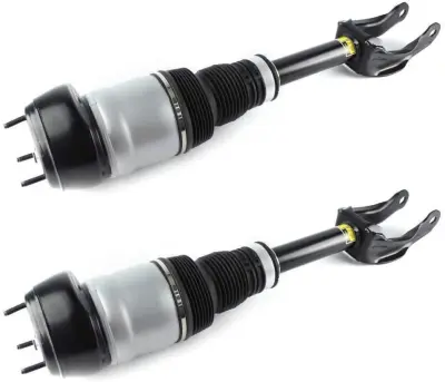 1663202613 Air Suspension Parts Air Suspension Strut for MERCEDES-BENZ GLS (X166), GL-CLASS (X164)