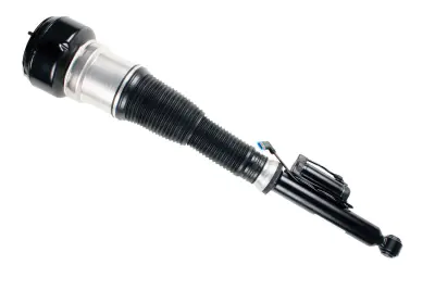 2213201138 Air Suspension Parts Air Suspension Strut for MERCEDES-BENZ S-CLASS (W221)