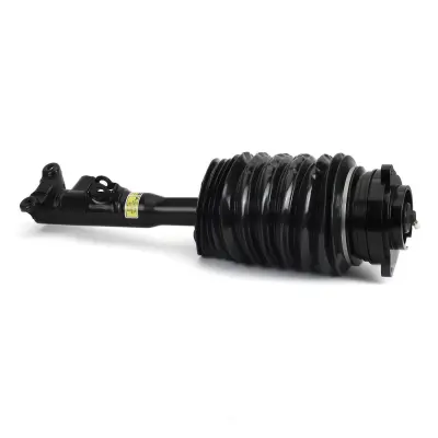 2183203213 Air Suspension Parts Air Suspension Strut for MERCEDES-BENZ CLS (C218)