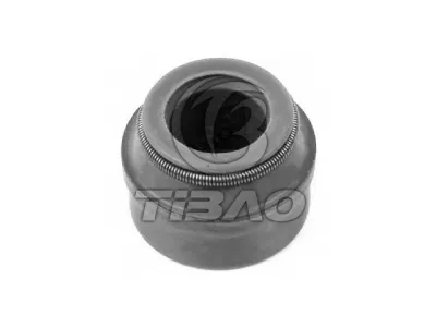 Engine Parts Valve Stem Seal for AUDI R8, BMW 5 Series, MERCEDES-BENZ SLK, PORSCHE MACAN, VW POLO 026109675